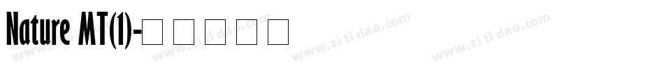 Nature MT(1)字体转换